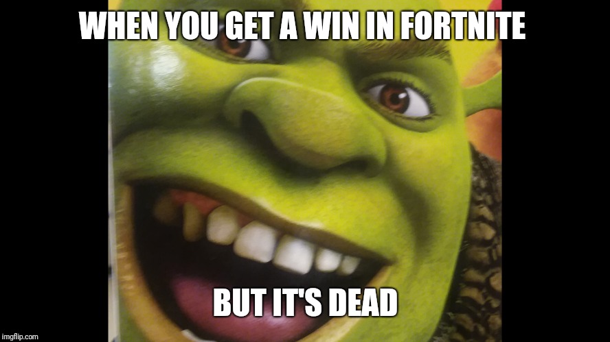 When you get a win in fortnite but it's dead  | WHEN YOU GET A WIN IN FORTNITE; BUT IT'S DEAD | image tagged in funny memes | made w/ Imgflip meme maker