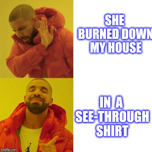 Drake Blank | SHE BURNED DOWN MY HOUSE IN  A SEE-THROUGH SHIRT | image tagged in drake blank | made w/ Imgflip meme maker