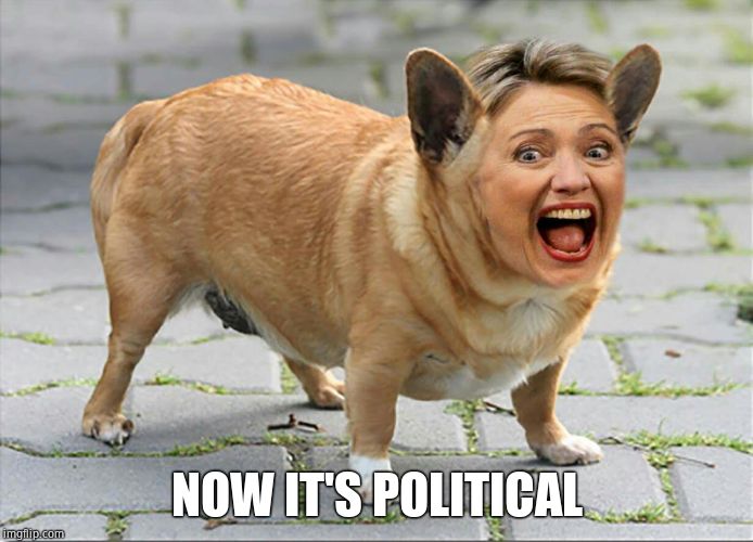 Hilldawg Hillary | NOW IT'S POLITICAL | image tagged in hilldawg hillary | made w/ Imgflip meme maker