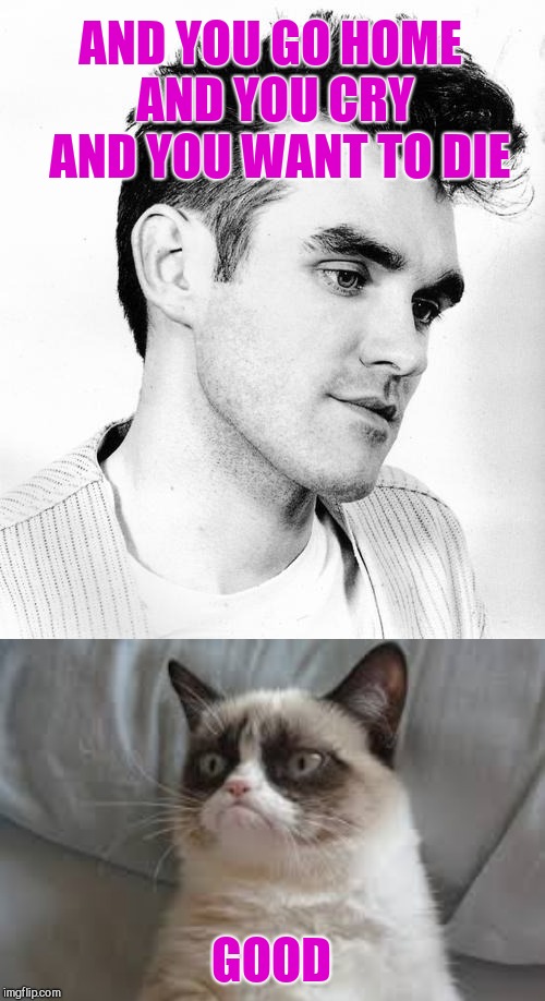 The Smiths the only band grumpy cat tolerates  | AND YOU GO HOME AND YOU CRY 
AND YOU WANT TO DIE; GOOD | image tagged in grumpy cat,the smiths,how soon is now | made w/ Imgflip meme maker