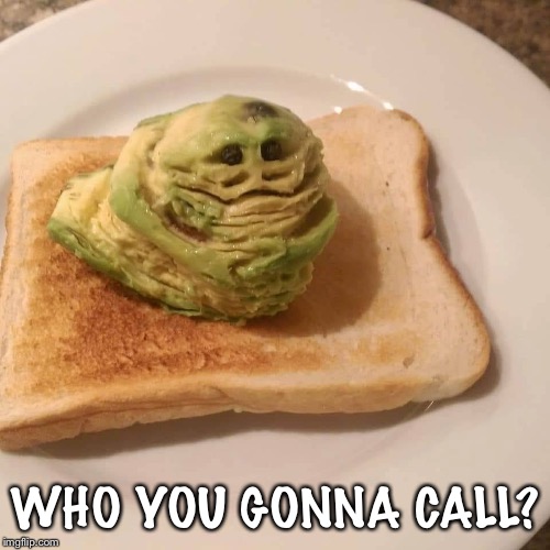 WHO YOU GONNA CALL? | image tagged in toastbusters | made w/ Imgflip meme maker