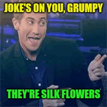 JOKE'S ON YOU, GRUMPY THEY'RE SILK FLOWERS | made w/ Imgflip meme maker