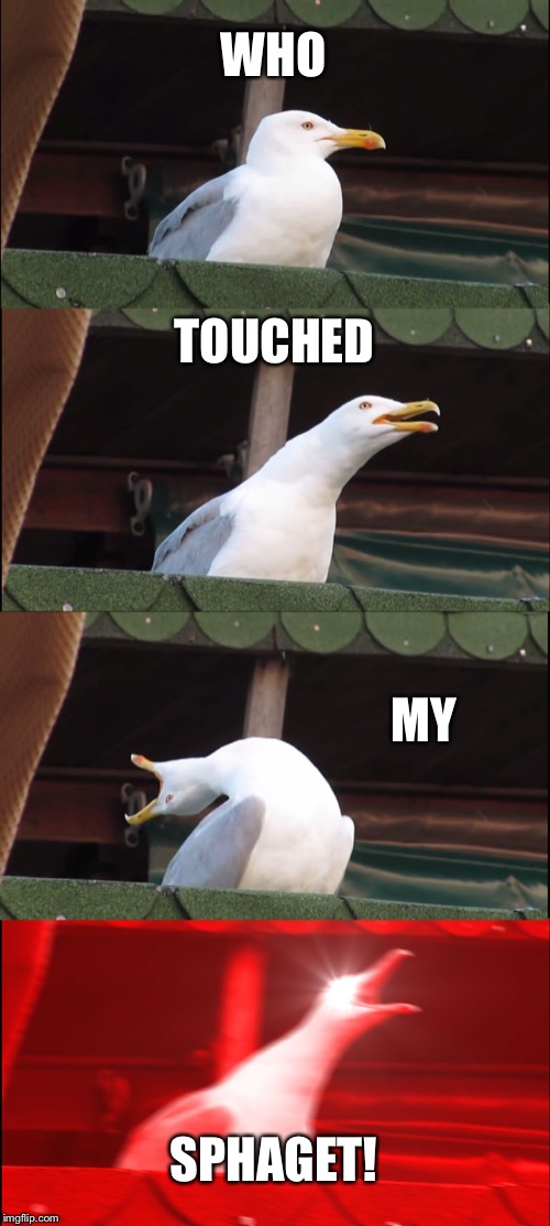 Inhaling Seagull Meme | WHO; TOUCHED; MY; SPHAGET! | image tagged in memes,inhaling seagull | made w/ Imgflip meme maker