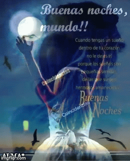 buenas noches | ALMA* | image tagged in gifs | made w/ Imgflip video-to-gif maker
