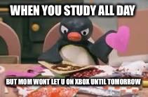 Study pingu  | WHEN YOU STUDY ALL DAY; BUT MOM WONT LET U ON XBOX UNTIL TOMORROW | image tagged in pingu | made w/ Imgflip meme maker