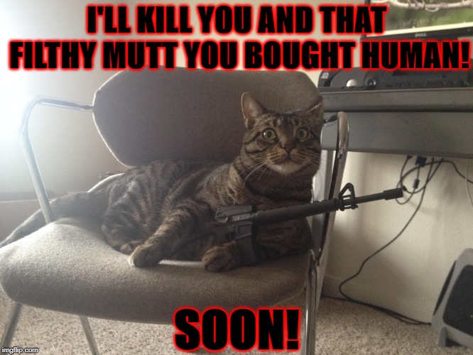 I'LL KILL YOU AND THAT FILTHY MUTT YOU BOUGHT HUMAN! SOON! | image tagged in soon | made w/ Imgflip meme maker