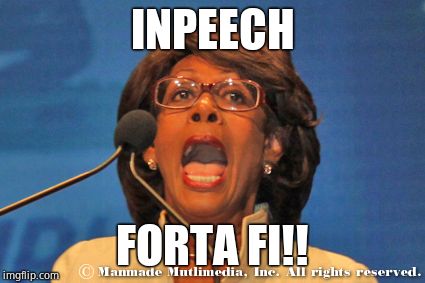 Maxine waters | INPEECH FORTA FI!! | image tagged in maxine waters | made w/ Imgflip meme maker