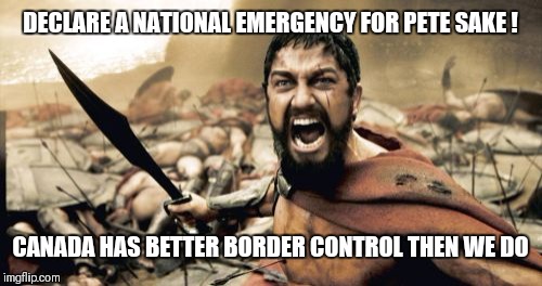 Sparta Leonidas | DECLARE A NATIONAL EMERGENCY FOR PETE SAKE ! CANADA HAS BETTER BORDER CONTROL THEN WE DO | image tagged in memes,sparta leonidas | made w/ Imgflip meme maker