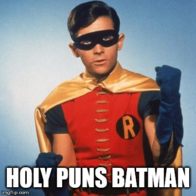 Robin | HOLY PUNS BATMAN | image tagged in robin | made w/ Imgflip meme maker