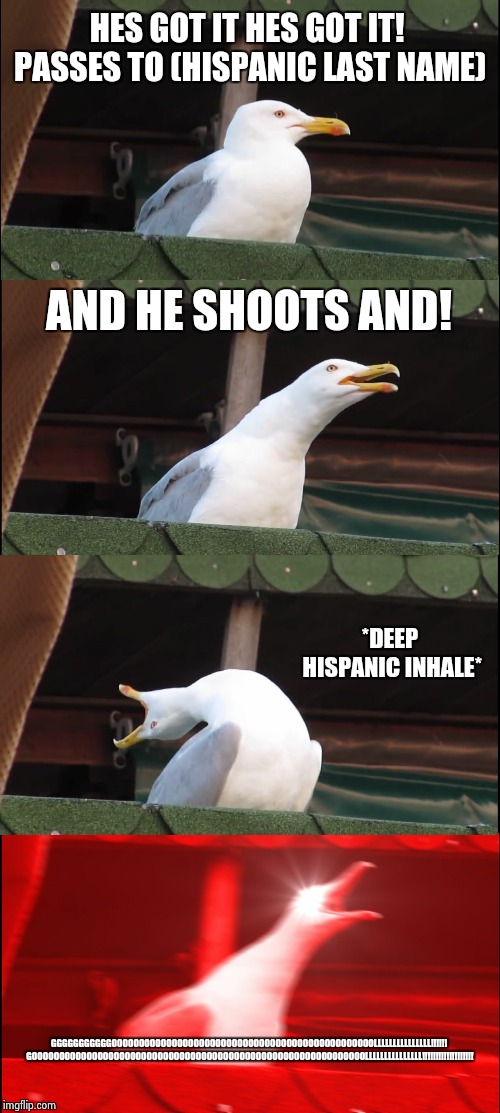 Hispanic soccer game anouncers | HES GOT IT HES GOT IT! PASSES TO (HISPANIC LAST NAME); AND HE SHOOTS AND! *DEEP HISPANIC INHALE*; GGGGGGGGGGGOOOOOOOOOOOOOOOOOOOOOOOOOOOOOOOOOOOOOOOOOOOOOOOOLLLLLLLLLLLLLLL!!!!!! GOOOOOOOOOOOOOOOOOOOOOOOOOOOOOOOOOOOOOOOOOOOOOOOOOOOOOOOOOOOOOLLLLLLLLLLLLLLL!!!!!!!!!!!!!!!!!!! | image tagged in memes,inhaling seagull,goal | made w/ Imgflip meme maker