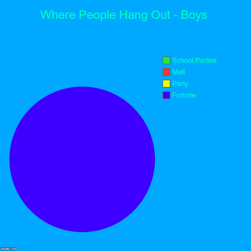 Where People Hang Out - Boys | Fortnite, Party, Mall, School Parties | image tagged in charts,pie charts | made w/ Imgflip chart maker