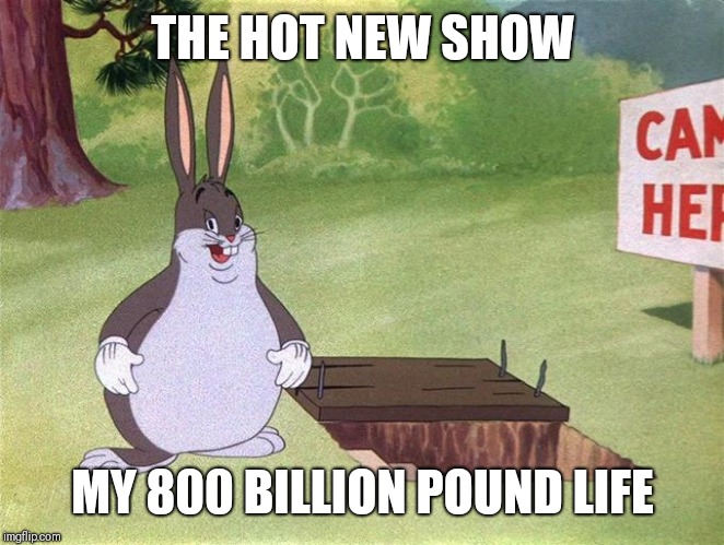 Big Chungus | THE HOT NEW SHOW; MY 800 BILLION POUND LIFE | image tagged in big chungus | made w/ Imgflip meme maker
