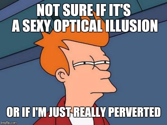 Futurama Fry Meme | NOT SURE IF IT'S A SEXY OPTICAL ILLUSION OR IF I'M JUST REALLY PERVERTED | image tagged in memes,futurama fry | made w/ Imgflip meme maker