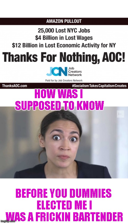 This Billboard Just Went Up In Time Square ! #ThanksAOC | HOW WAS I SUPPOSED TO KNOW; BEFORE YOU DUMMIES ELECTED ME I WAS A FRICKIN BARTENDER | image tagged in crazy alexandria ocasio-cortez,25000 jobs,amazon,socialism sucks,thanks aoc | made w/ Imgflip meme maker