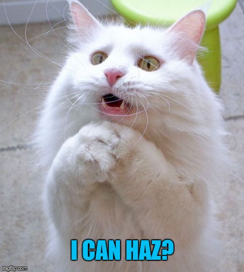I Can Haz | I CAN HAZ? | image tagged in i can haz | made w/ Imgflip meme maker