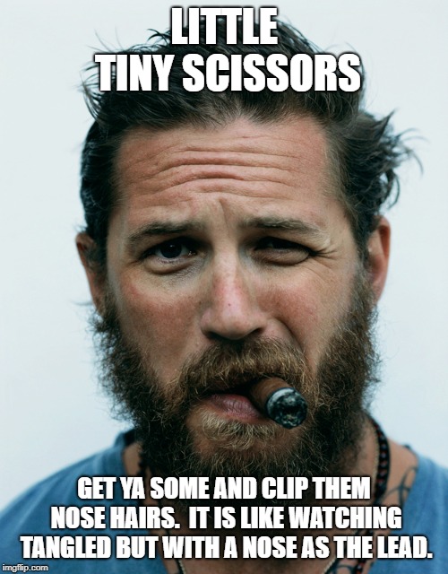 Clip your nose hair | LITTLE TINY SCISSORS; GET YA SOME AND CLIP THEM NOSE HAIRS.  IT IS LIKE WATCHING TANGLED BUT WITH A NOSE AS THE LEAD. | image tagged in nose,groom,hair | made w/ Imgflip meme maker