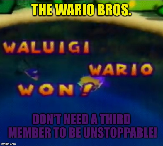 THE WARIO BROS. DON’T NEED A THIRD MEMBER TO BE UNSTOPPABLE! | image tagged in wario and waluigi | made w/ Imgflip meme maker