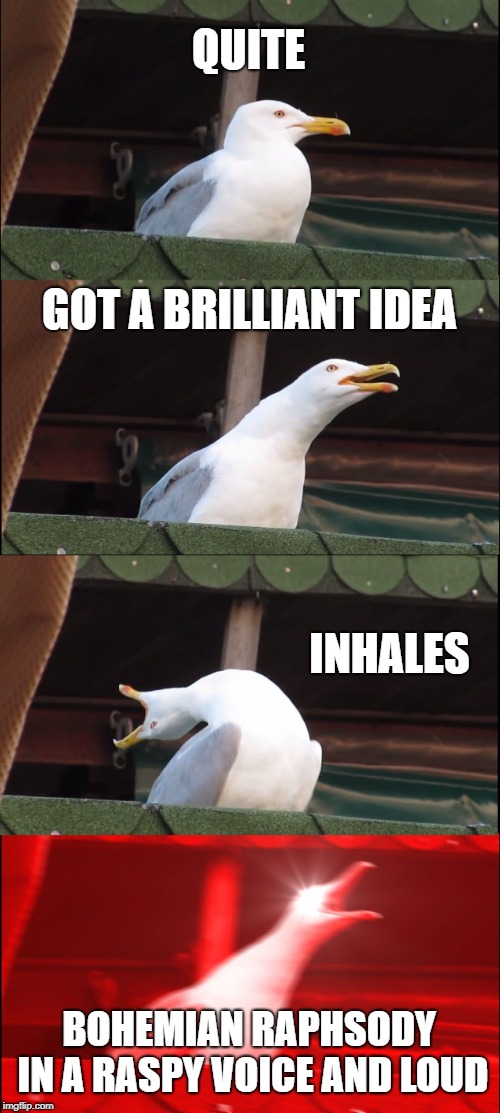 How I sing | QUITE; GOT A BRILLIANT IDEA; INHALES; BOHEMIAN RAPHSODY IN A RASPY VOICE AND LOUD | image tagged in memes,inhaling seagull | made w/ Imgflip meme maker