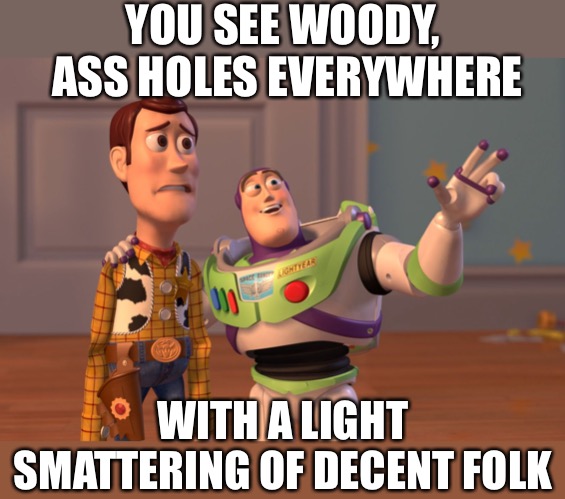 X, X Everywhere Meme | YOU SEE WOODY, ASS HOLES EVERYWHERE WITH A LIGHT SMATTERING OF DECENT FOLK | image tagged in memes,x x everywhere | made w/ Imgflip meme maker