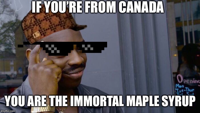 Roll Safe Think About It | IF YOU’RE FROM CANADA; YOU ARE THE IMMORTAL MAPLE SYRUP | image tagged in memes,roll safe think about it | made w/ Imgflip meme maker