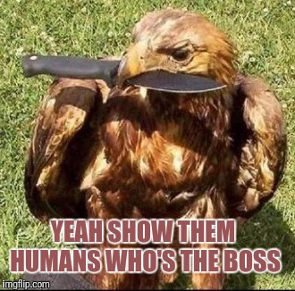YEAH SHOW THEM HUMANS WHO'S THE BOSS | made w/ Imgflip meme maker