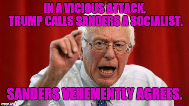 IN A VICIOUS ATTACK, TRUMP CALLS SANDERS A SOCIALIST. SANDERS VEHEMENTLY AGREES. | image tagged in bernie sanders,trump,socialism | made w/ Imgflip meme maker