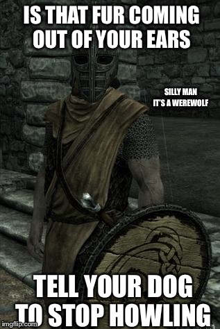 The city’s guards  | IS THAT FUR COMING OUT OF YOUR EARS; SILLY MAN IT’S A WEREWOLF; TELL YOUR DOG TO STOP HOWLING | image tagged in skyrim | made w/ Imgflip meme maker