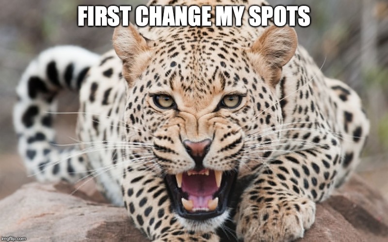 FIRST CHANGE MY SPOTS | made w/ Imgflip meme maker