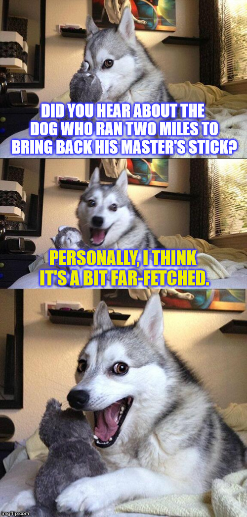 Running with all the PUNs in the room... | DID YOU HEAR ABOUT THE DOG WHO RAN TWO MILES TO BRING BACK HIS MASTER'S STICK? PERSONALLY, I THINK IT'S A BIT FAR-FETCHED. | image tagged in memes,bad pun dog,bad jokes,bad puns,dogs,running | made w/ Imgflip meme maker