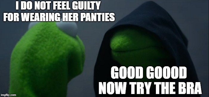 Evil Kermit | I DO NOT FEEL GUILTY FOR WEARING HER PANTIES; GOOD GOOOD NOW TRY THE BRA | image tagged in memes,evil kermit | made w/ Imgflip meme maker