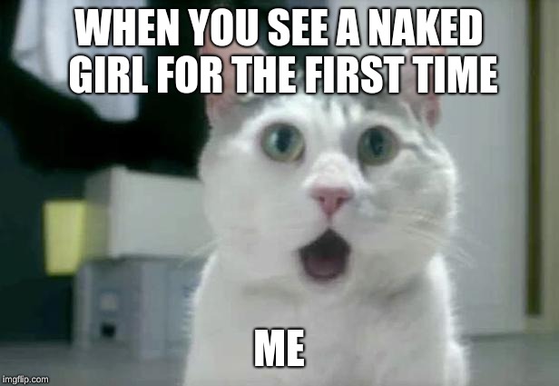OMG Cat Meme | WHEN YOU SEE A NAKED GIRL FOR THE FIRST TIME; ME | image tagged in memes,omg cat | made w/ Imgflip meme maker