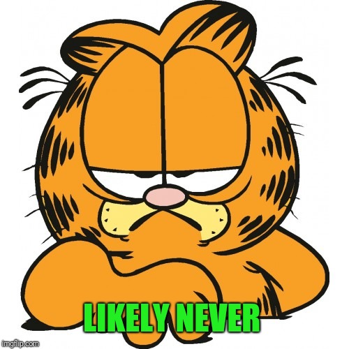 Garfield | LIKELY NEVER | image tagged in garfield | made w/ Imgflip meme maker