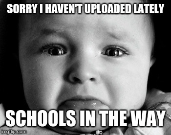 Sad Baby | SORRY I HAVEN'T UPLOADED LATELY; SCHOOLS IN THE WAY | image tagged in memes,sad baby | made w/ Imgflip meme maker