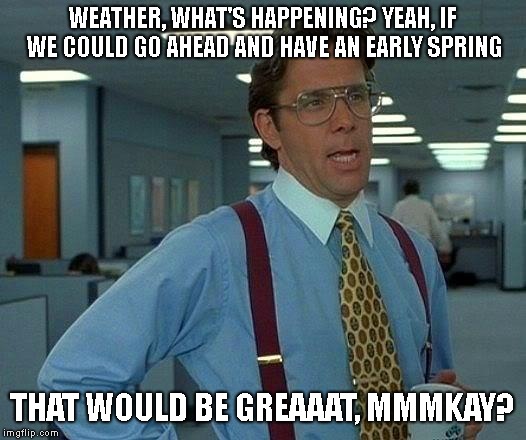 That Would Be Great Meme | WEATHER, WHAT'S HAPPENING? YEAH, IF WE COULD GO AHEAD AND HAVE AN EARLY SPRING; THAT WOULD BE GREAAAT, MMMKAY? | image tagged in memes,that would be great | made w/ Imgflip meme maker
