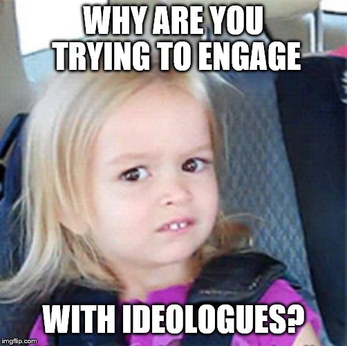 confused girl | WHY ARE YOU TRYING TO ENGAGE WITH IDEOLOGUES? | image tagged in confused girl | made w/ Imgflip meme maker