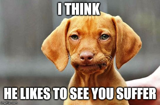 Frowning Dog | I THINK HE LIKES TO SEE YOU SUFFER | image tagged in frowning dog | made w/ Imgflip meme maker