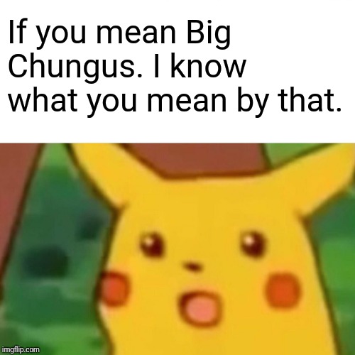 Surprised Pikachu Meme | If you mean Big Chungus. I know what you mean by that. | image tagged in memes,surprised pikachu | made w/ Imgflip meme maker