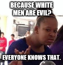 Duh | BECAUSE WHITE MEN ARE EVIL? EVERYONE KNOWS THAT. | image tagged in duh | made w/ Imgflip meme maker