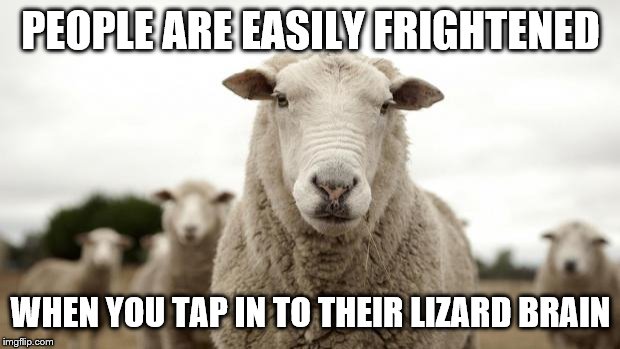 Sheep | PEOPLE ARE EASILY FRIGHTENED WHEN YOU TAP IN TO THEIR LIZARD BRAIN | image tagged in sheep | made w/ Imgflip meme maker