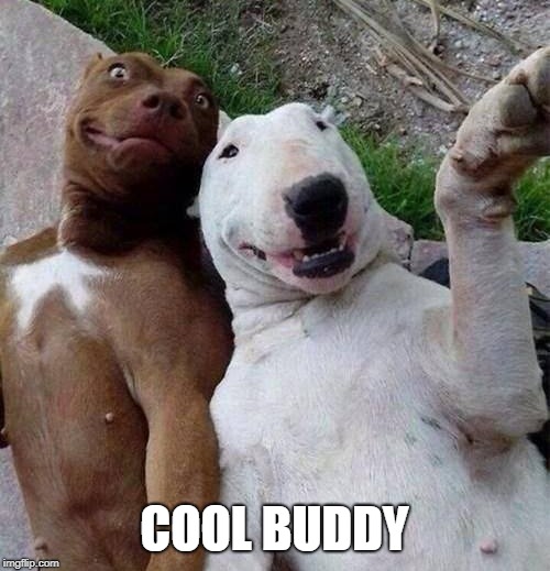 COOL BUDDY | made w/ Imgflip meme maker