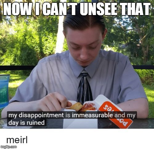 My disappointment is immeasurable and my day is ruined | NOW I CAN'T UNSEE THAT | image tagged in my disappointment is immeasurable and my day is ruined | made w/ Imgflip meme maker