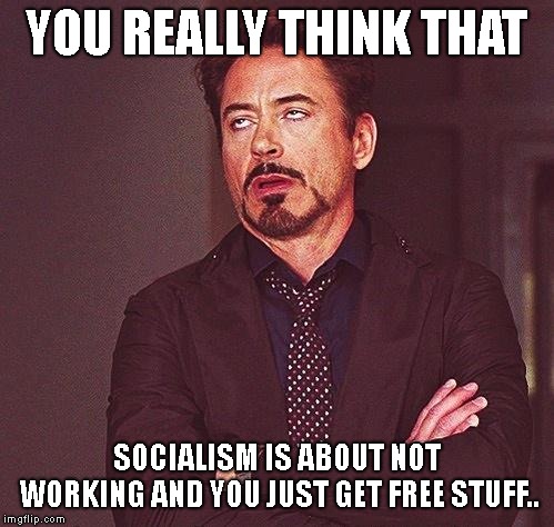  Robert Downey Jr eyeroll | YOU REALLY THINK THAT SOCIALISM IS ABOUT NOT WORKING AND YOU JUST GET FREE STUFF.. | image tagged in robert downey jr eyeroll | made w/ Imgflip meme maker