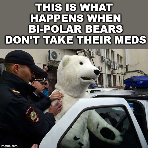 Polar Bears gone wild. | THIS IS WHAT HAPPENS WHEN BI-POLAR BEARS DON'T TAKE THEIR MEDS | image tagged in meme,bipolar,polar bear,arrested,police officer,funny | made w/ Imgflip meme maker