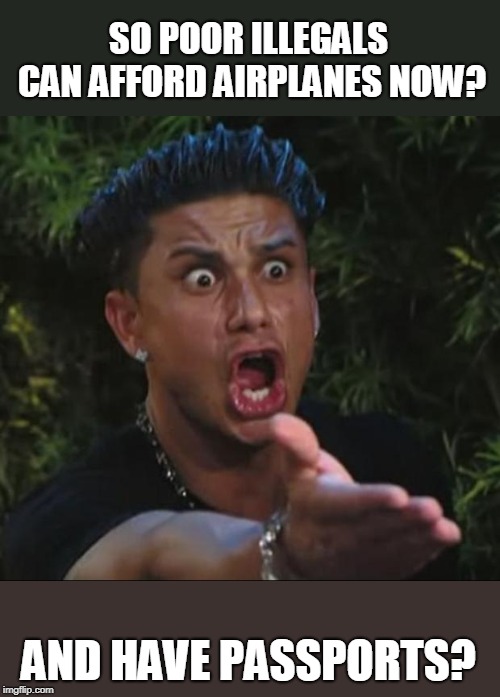 DJ Pauly D Meme | SO POOR ILLEGALS CAN AFFORD AIRPLANES NOW? AND HAVE PASSPORTS? | image tagged in memes,dj pauly d | made w/ Imgflip meme maker