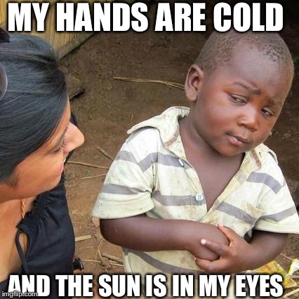 Third World Skeptical Kid Meme |  MY HANDS ARE COLD; AND THE SUN IS IN MY EYES | image tagged in memes,third world skeptical kid | made w/ Imgflip meme maker