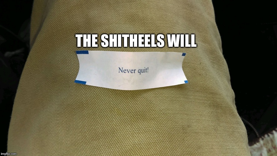 never quit | THE SHITHEELS WILL | image tagged in never quit | made w/ Imgflip meme maker