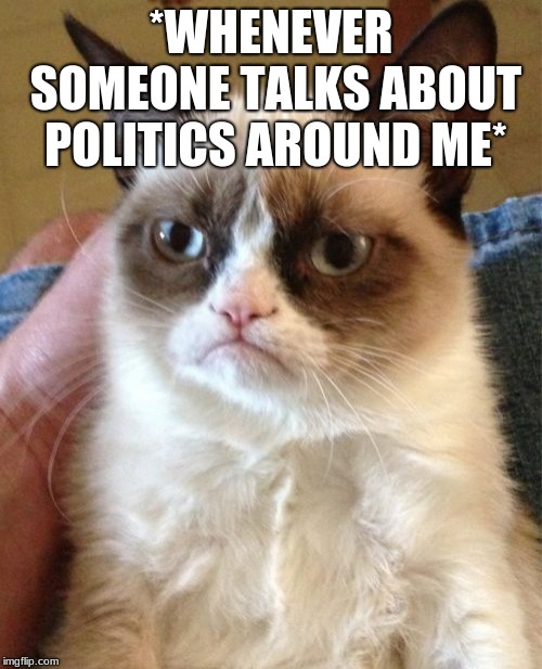 Grumpy Cat Meme | *WHENEVER SOMEONE TALKS ABOUT POLITICS AROUND ME* | image tagged in memes,grumpy cat | made w/ Imgflip meme maker