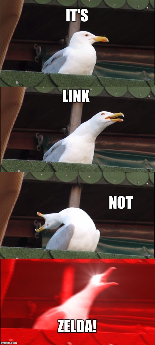Inhaling Seagull Meme | IT'S; LINK; NOT; ZELDA! | image tagged in memes,inhaling seagull | made w/ Imgflip meme maker