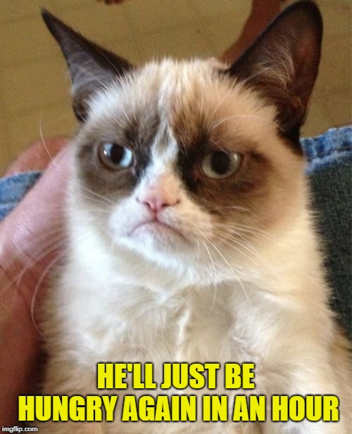 Grumpy Cat Meme | HE'LL JUST BE HUNGRY AGAIN IN AN HOUR | image tagged in memes,grumpy cat | made w/ Imgflip meme maker