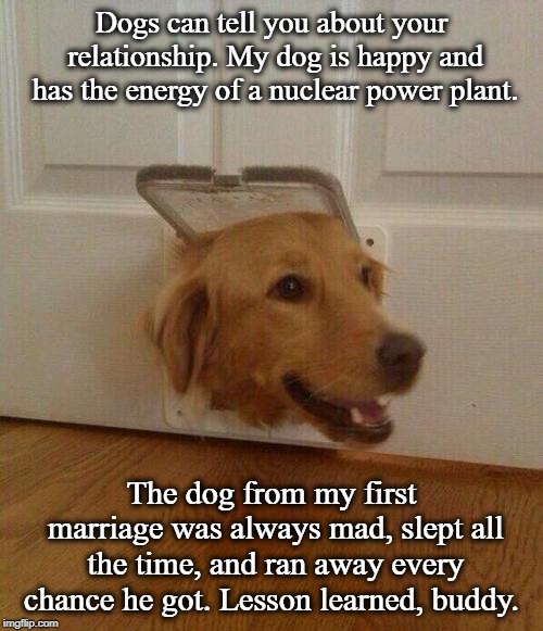 Dog door | Dogs can tell you about your relationship. My dog is happy and has the energy of a nuclear power plant. The dog from my first marriage was always mad, slept all the time, and ran away every chance he got. Lesson learned, buddy. | image tagged in dog door,relationships | made w/ Imgflip meme maker